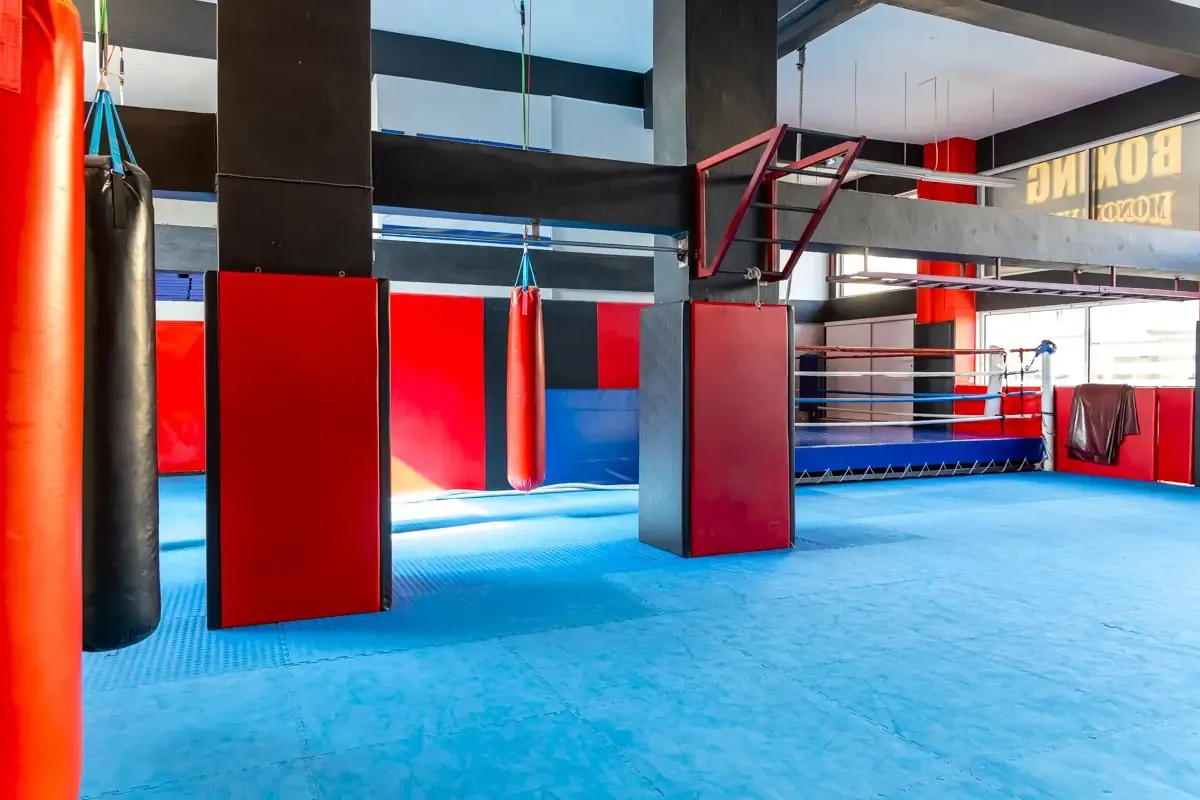 Αίθουσα αθλημάτων του SK GYM ΜΟΝΟΜΑΧΟΙ