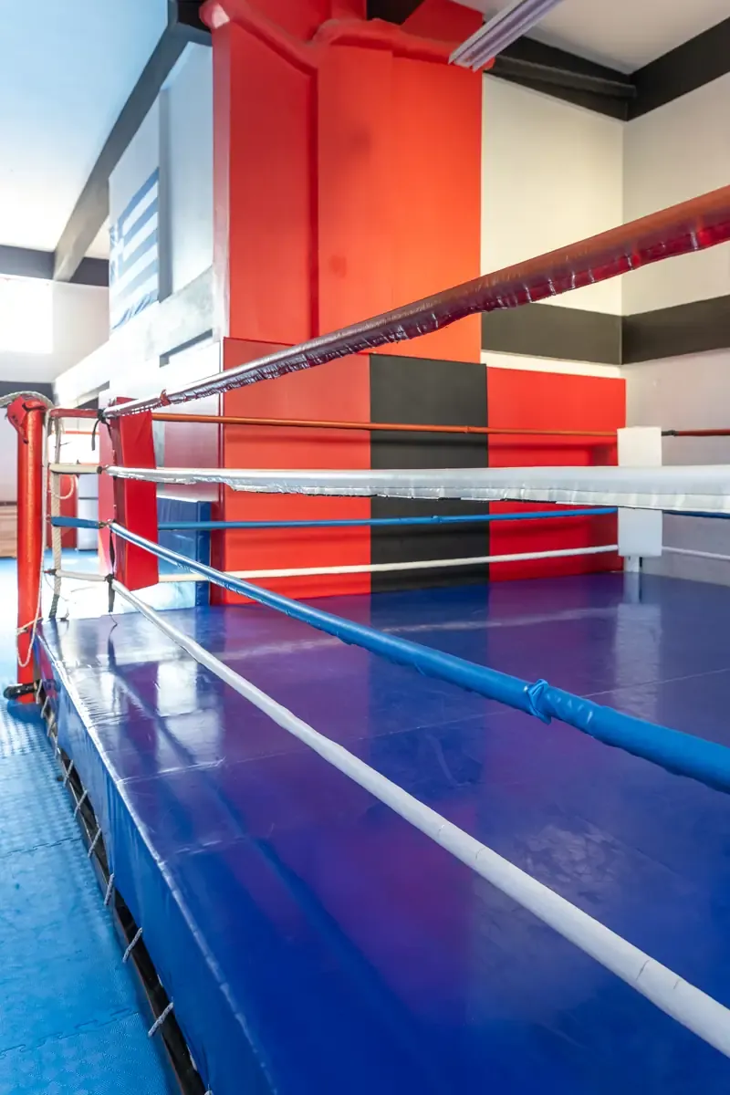 Αίθουσα αθλημάτων του SK GYM ΜΟΝΟΜΑΧΟΙ