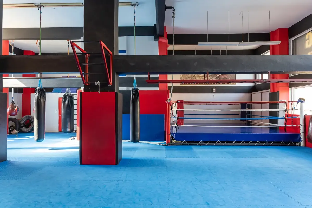 Αίθουσα αθλημάτων του SK GYM ΜΟΝΟΜΑΧΟΙ