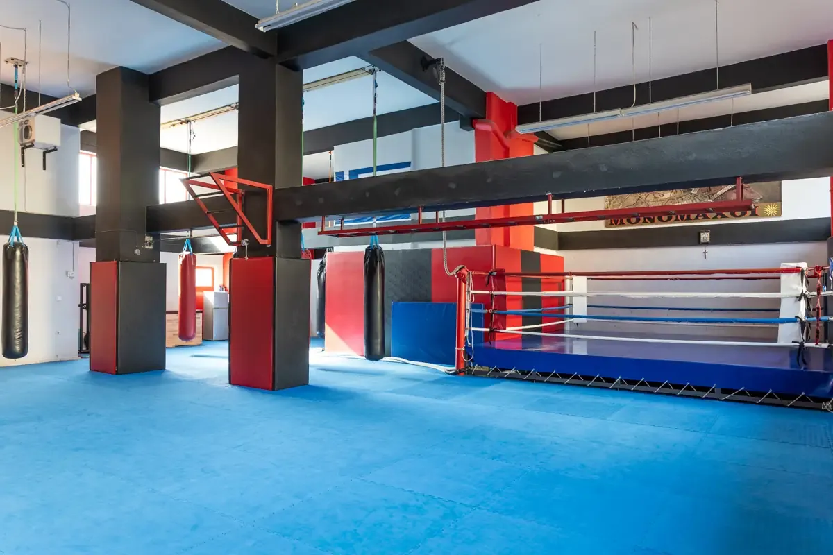 Αίθουσα αθλημάτων του SK GYM ΜΟΝΟΜΑΧΟΙ