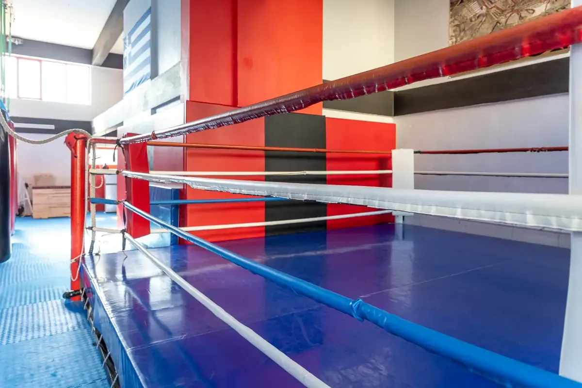 Αίθουσα αθλημάτων του SK GYM ΜΟΝΟΜΑΧΟΙ