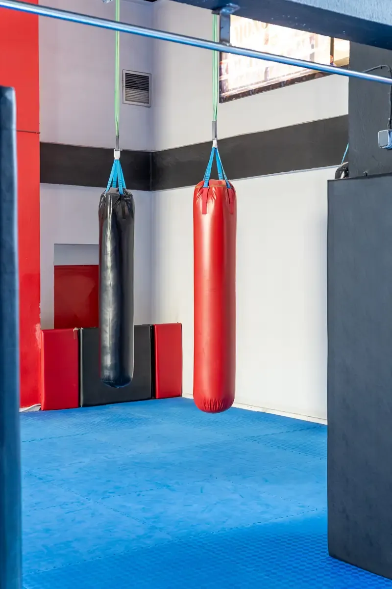 Αίθουσα αθλημάτων του SK GYM ΜΟΝΟΜΑΧΟΙ