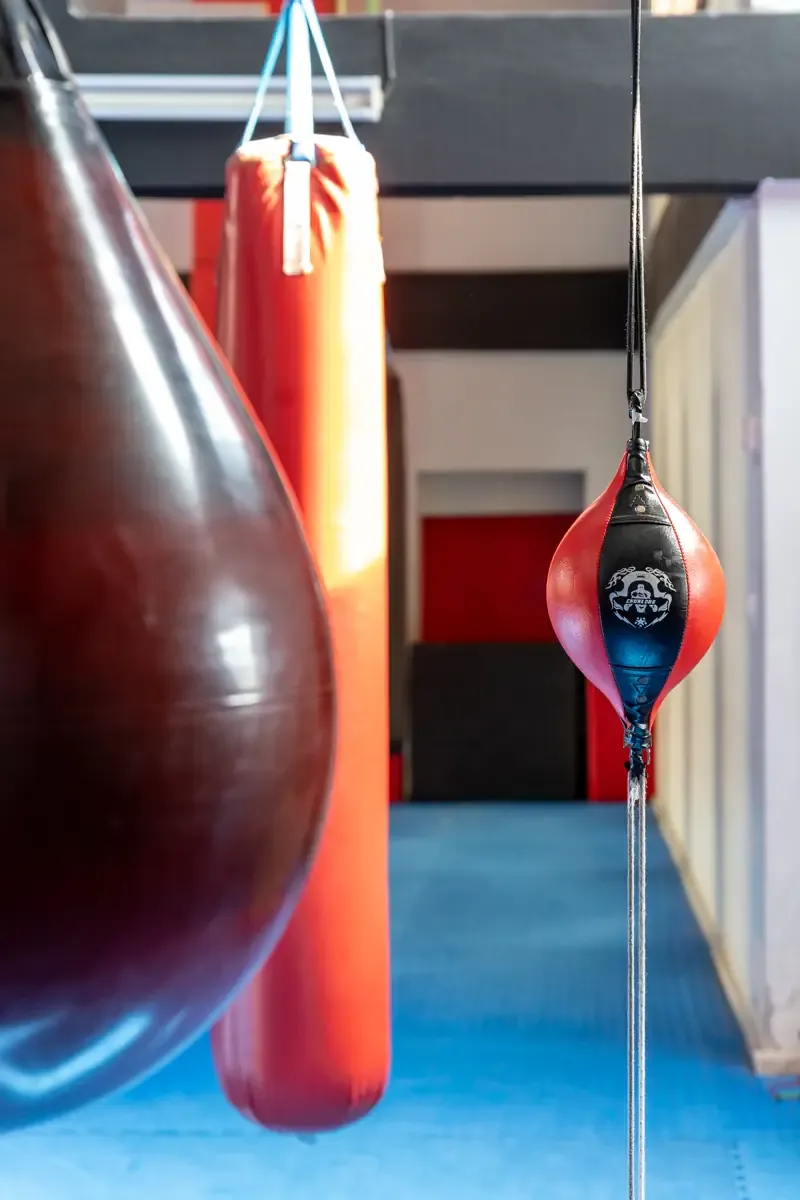 Αίθουσα αθλημάτων του SK GYM ΜΟΝΟΜΑΧΟΙ