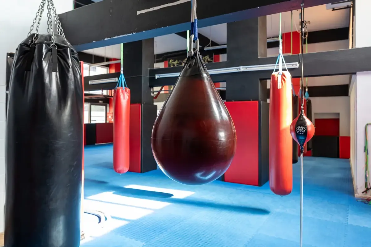 Αίθουσα αθλημάτων του SK GYM ΜΟΝΟΜΑΧΟΙ