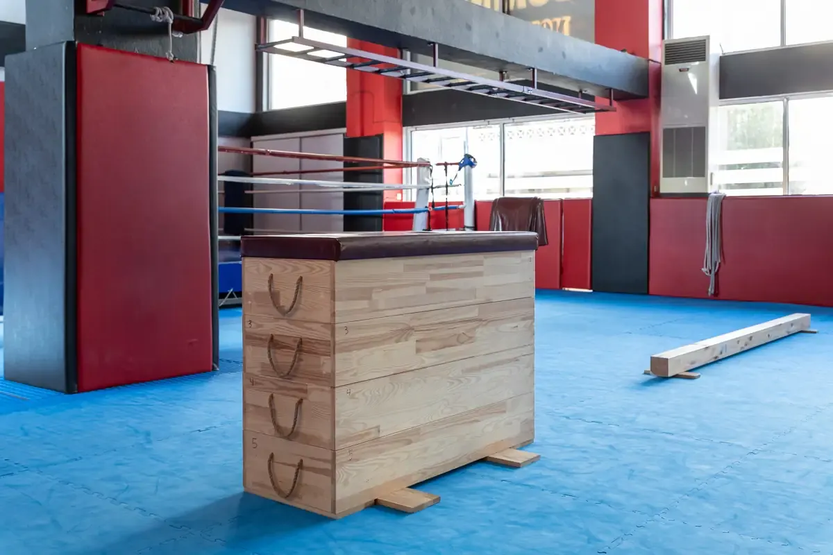 Αίθουσα αθλημάτων του SK GYM ΜΟΝΟΜΑΧΟΙ