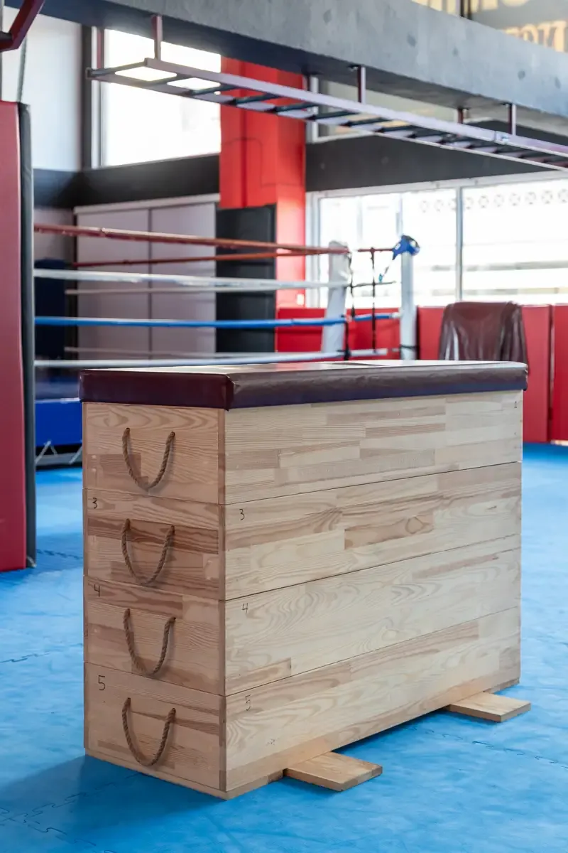Αίθουσα αθλημάτων του SK GYM ΜΟΝΟΜΑΧΟΙ