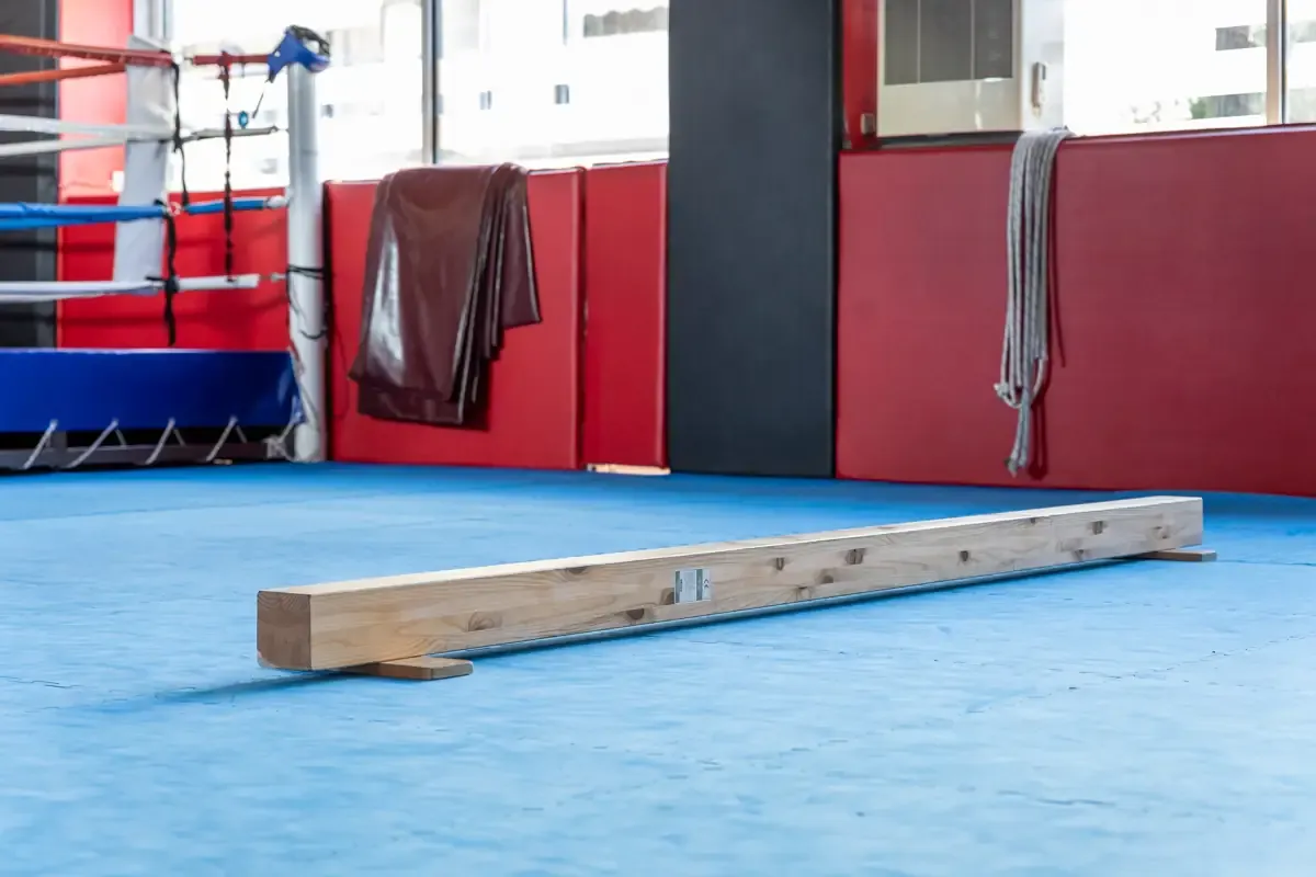 Αίθουσα αθλημάτων του SK GYM ΜΟΝΟΜΑΧΟΙ